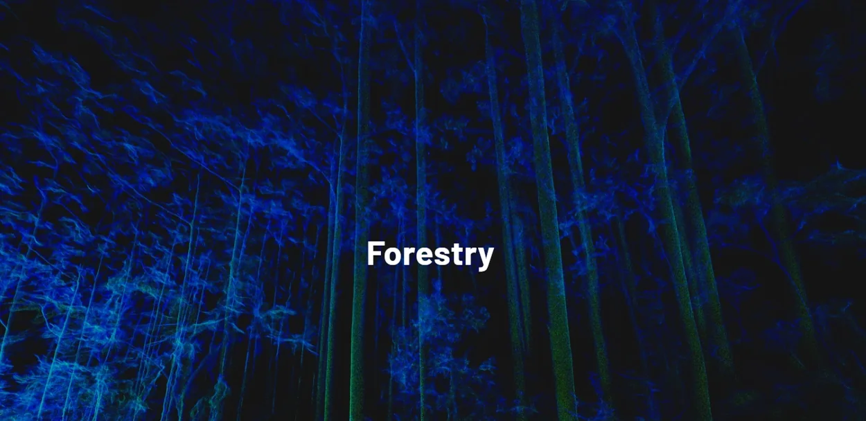 Point cloud of wooded terrain with individual trees resolved